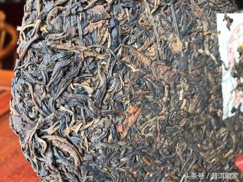 99易昌號的6個(gè)版本詳解 經(jīng)典易武大樹茶典范